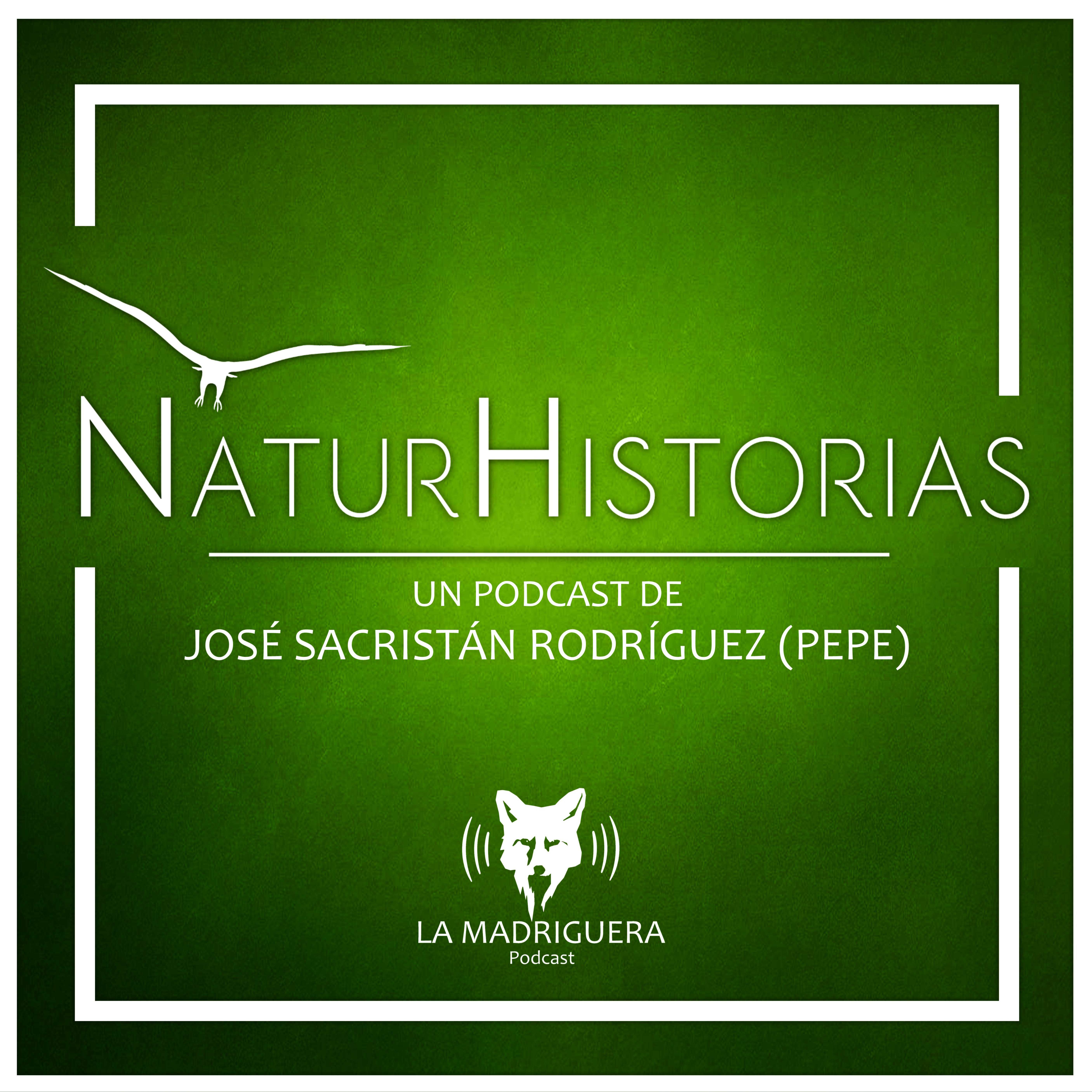 naturhistorias_portada