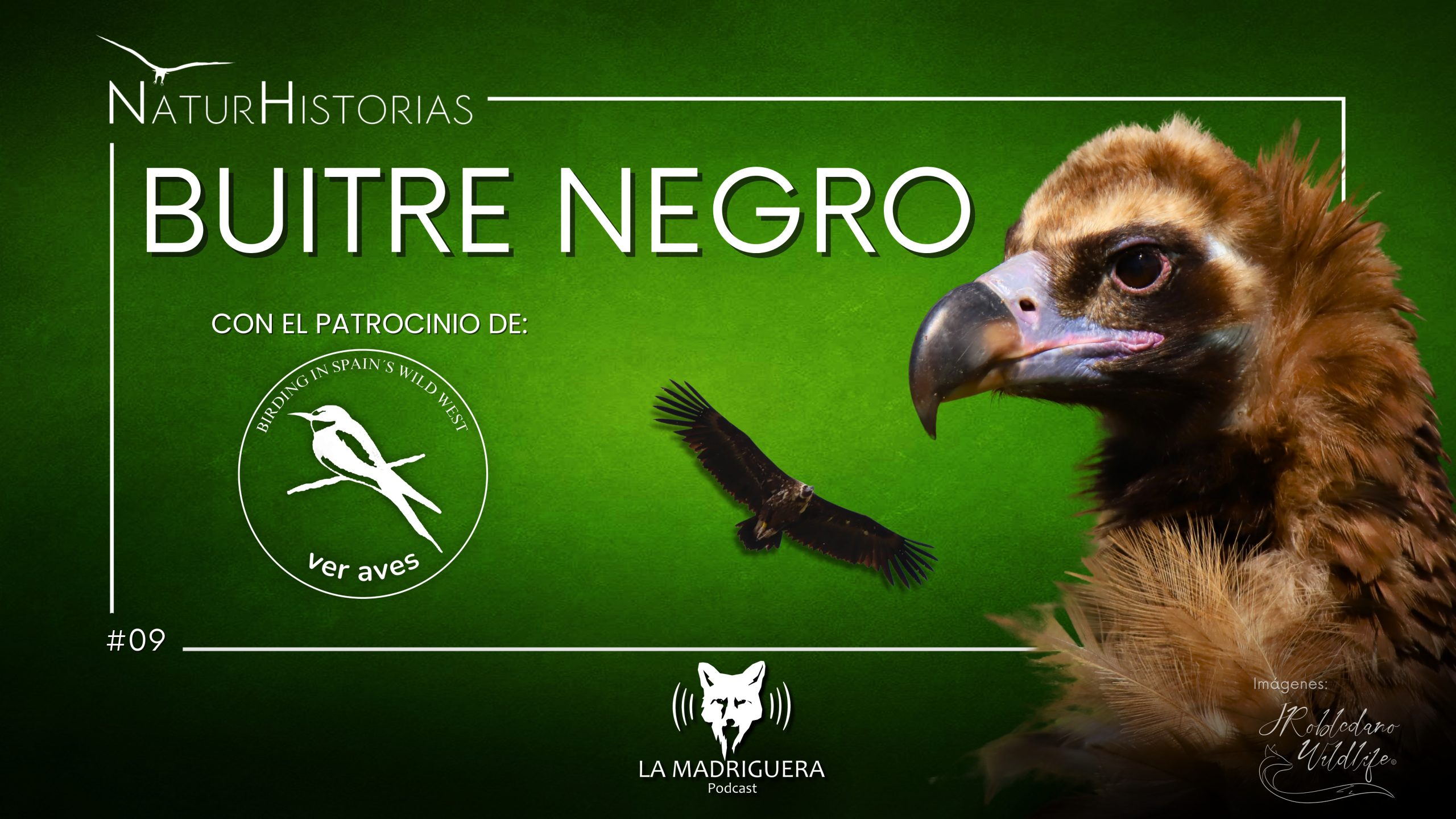 PORTADAS NATURHISTORIAS youtube